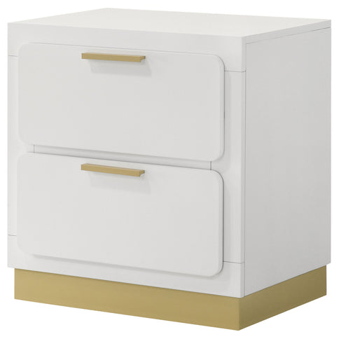 Modern Luxury Nightstand With 2 Drawer Storage