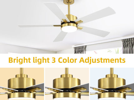 Reversible DC Motor Ceiling Fan With Dimmable LED Light For Living Room