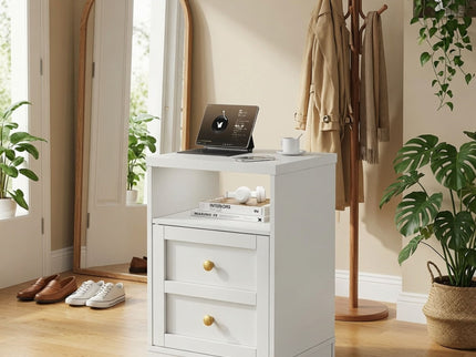 Nightstand With Door & Shelf, 2 Drawer Side Table