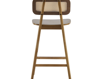 Bari - Indoor Wood Barstool (Set of 2)