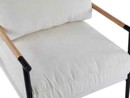 Modern Accent Chair With Cushions, Cozy Seating
