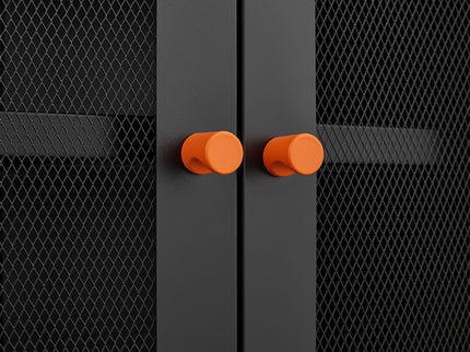 Modern Metal Shoe Cabinet With DoublebSided Doors And Adjustable Partitions