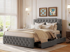 Dark Gray / Queen