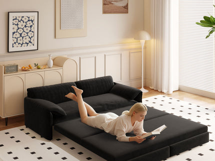 Queen Pull Out Sofa Bed With Side Storage