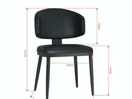 Modern Dining Chairs For Kitchen (Set of 2)
