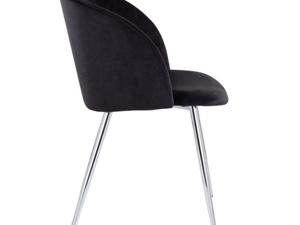 Fran - Contemporary Chair (Set of 2)