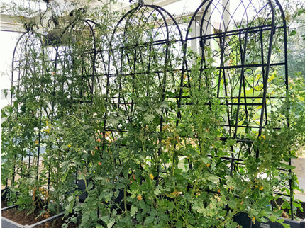 Metal Garden Rustproof Trellis For Climbing Plants Outdoor Flower Support