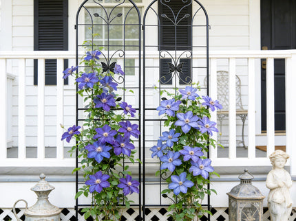 Garden Metal Trellis Rustproof Trellis For Climbing Plants Outdoor Flower Support