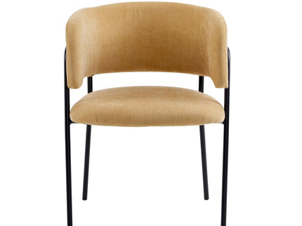 Modern Upholstered Arm Dining Chair Set