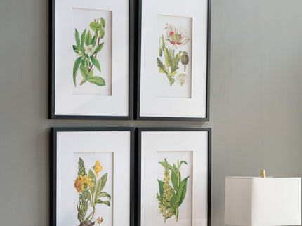 Botanical Flower Wall Art, Home Decor For Living Room Dining Room, Bedroom, Hallway (Set of 4) - White / Blue