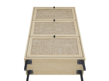 Modern Rattan 3 Door Shoe Rack Cabinet For Entryway