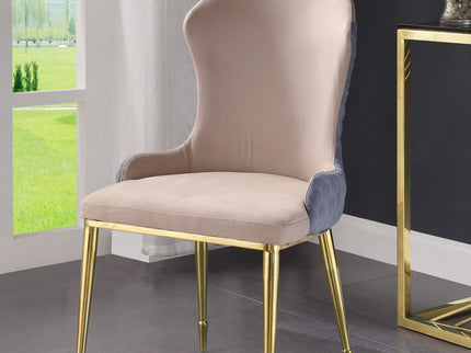 Caolan - Side Chair (Set of 2) - Tan