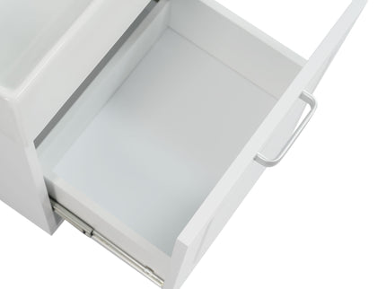 Modern Wall Mounted Bathroom Vanity With Sink, Soft Close Drawer, Adjustable Shelf, Toilet Paper Holder
