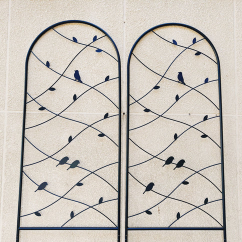 Garden Rustproof Trellis For Climbing Plants