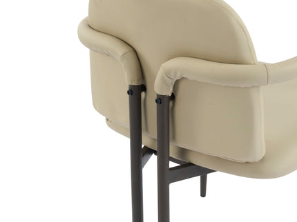 Modern Dining Chair (Set of 2) With Iron Frame - Espresso / Khaki