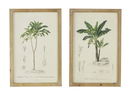 Tree Framed Print (Set of 2) - Multicolor