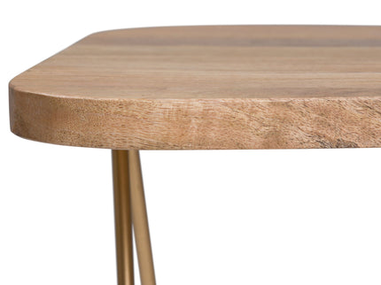 Patrice - Handcrafted Metal And Wood Accent Table