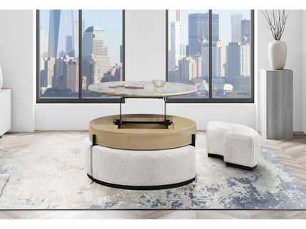 Rounded Storage Coffee Table With 3 Stools