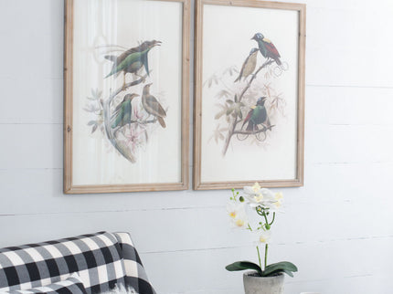Bird Framed Print (Set of 2) - Multicolor