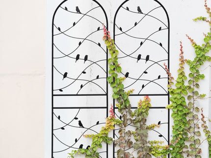 Garden Rustproof Trellis For Climbing Plants