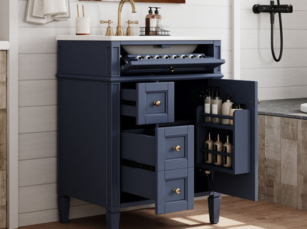 Bathroom Vanity With Top Sink, Storage Cabinet With 2 Drawers And Tip-Out Drawer