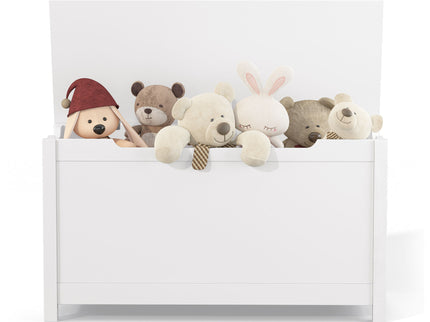 Toy Box Storage With Safety Hinged Lid