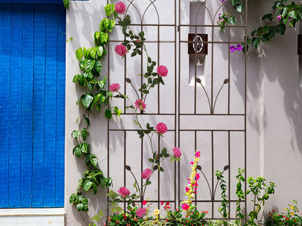 Metal Garden Trellis Rustproof For Climbing Plants Outdoor Flower Support