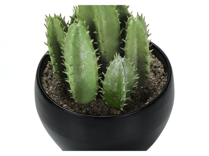 Artificial Succulent Plants (Set of 3)