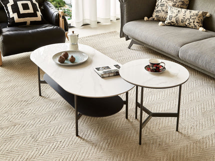 Contemporary Coffee Table Sintered Stone Surface With Ceramic Finish Double Layer Design Base Matte Shelf Modern Living Room Center Table - White / Gray