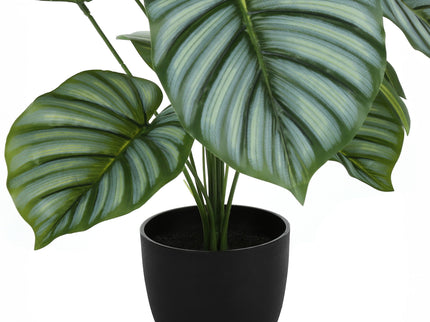 24" Tall, Artificial Plant, Calathea, Indoor, Faux, Fake, Table, Greenery, Potted, Real Touch, Decorative - Green / Black