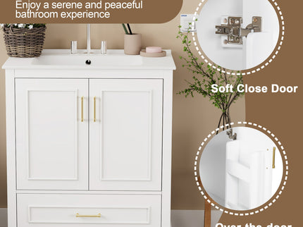 Bathroom Vanity With Sink, 1 Divided Drawer And 2 Soft Close Doors With Double Shelf