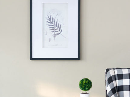 Botanical Wall Art Prints, Home Decor For Living Room Dining Room, Bedroom, Hallway (Set of 4) - White / Black