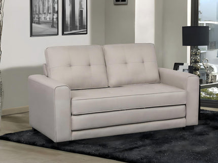 Upholstered Pull Out Sleeper Loveseat