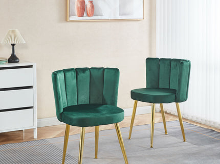 Ergonomic Dining Chair (Set of 2)