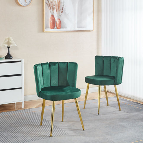 Ergonomic Dining Chair (Set of 2)