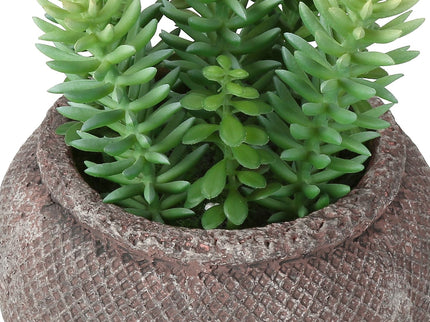 Artificial Succulent, Table Decor (Set of 2) - Green / Brown
