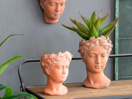 D7X11" Visage Head Bust Planter - Brown