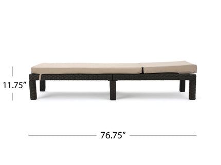 Puerta - Chaise Lounge Frame Cushion Outdoor Wicker Iron - Beige / Dark Brown