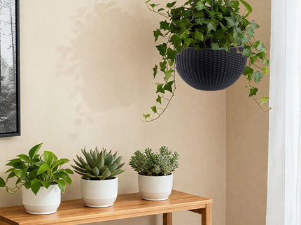 Self Watering Hanging Planter