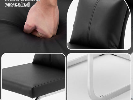 Modern Dining Chair SetWith Soft Cushion Backrest (2 Pieces)