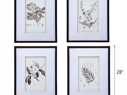Botanical Wall Art Prints, Home Decor For Living Room Dining Room, Bedroom, Hallway (Set of 4) - White / Black