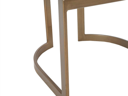 Contemporary Modern Accent Dining Chairs (Set of 2)