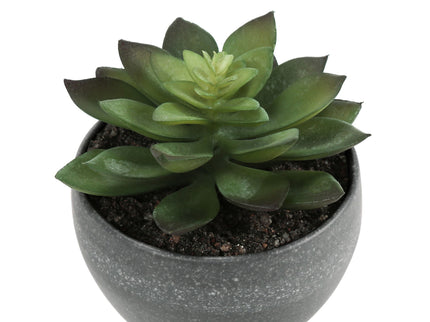 Artificial Succulent Plants (Set of 3)