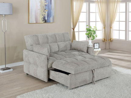 Alvara - Tufted Cushion Pull Out Sleeper Sofa Bed