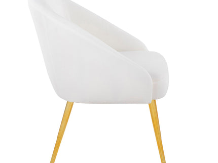 Shiraz - Contemporary / Glam Chair