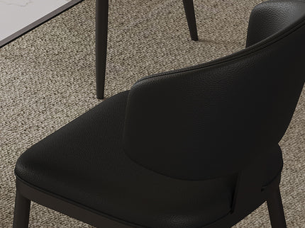 Modern Dining Chairs For Kitchen (Set of 2)