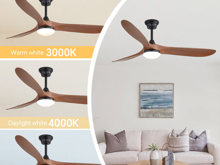 Smart Ceiling Fan With Lights, 3 Blades, Reversible Quiet DC Motor For Indoor