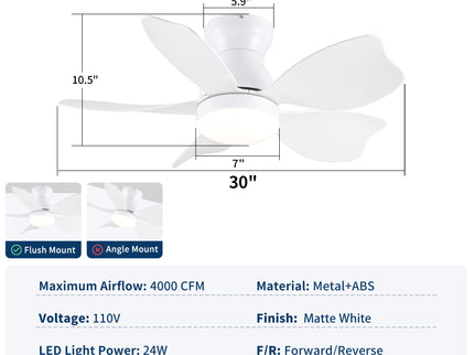 Low Profile Flush Mount Ceiling Fan With Light