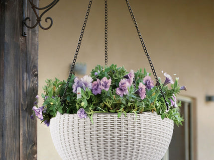 Self Watering Hanging Planter