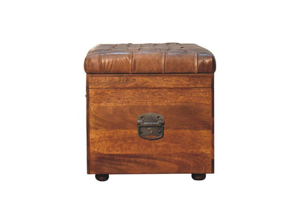 Buffalo - Storage Trunk